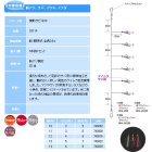 他の写真2: ハヤブサ 実戦サビキ20 ケイムラサバ皮ミックスフラッシャー 6本鈎 SS114 6本鈎1セット 13号 (ハリス 5号) 【10点セット】