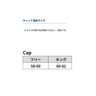 画像3: ≪'24年4月新商品！≫ ダイワ クッションハーフメッシュキャップ DC-6424 ブラック フリーサイズ