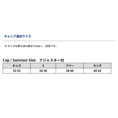 画像3: ≪'24年9月新商品！≫ ダイワ ゴアテックス トーナメントキャップ DC-1124TW ホワイト フリーサイズ