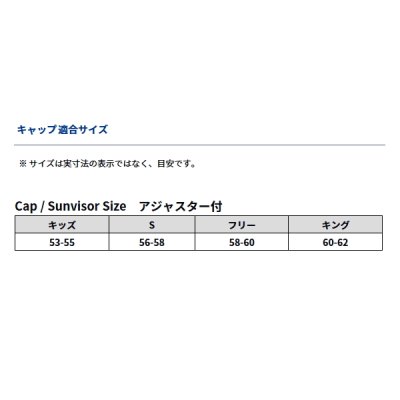 画像3: ≪'24年9月新商品！≫ ダイワ ゴアテックス タフキャップ DC-1824W ガンメタル フリーサイズ