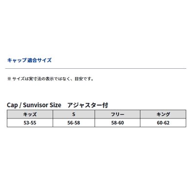 画像3: ≪'24年9月新商品！≫ ダイワ ウィンドストッパー(R) ボートフラットキャップ DC-1424W ガンメタル フリーサイズ