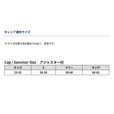 画像3: ≪'24年9月新商品！≫ ダイワ ダンロテック(R) ニットキャップ DC-9724W フェザーグレー フリーサイズ