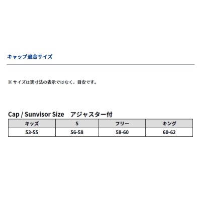 画像3: ≪'24年9月新商品！≫ ダイワ ギャザードワークキャップ DC-5024W ブラック フリーサイズ