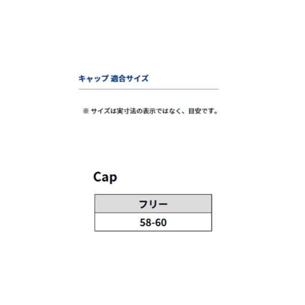 画像3: ≪'24年4月新商品！≫ ダイワ ボートフラットキャップ DC-6924 ブラック フリーサイズ