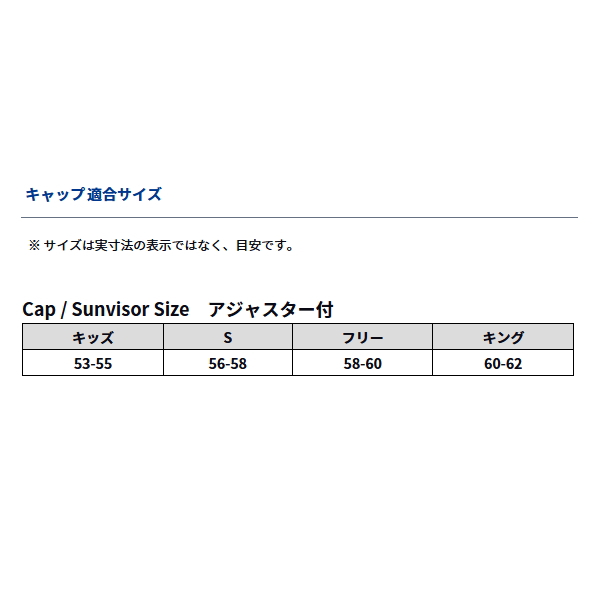 画像3: ≪'24年9月新商品！≫ ダイワ ゴアテックス タフキャップ DC-1824W ガンメタル フリーサイズ