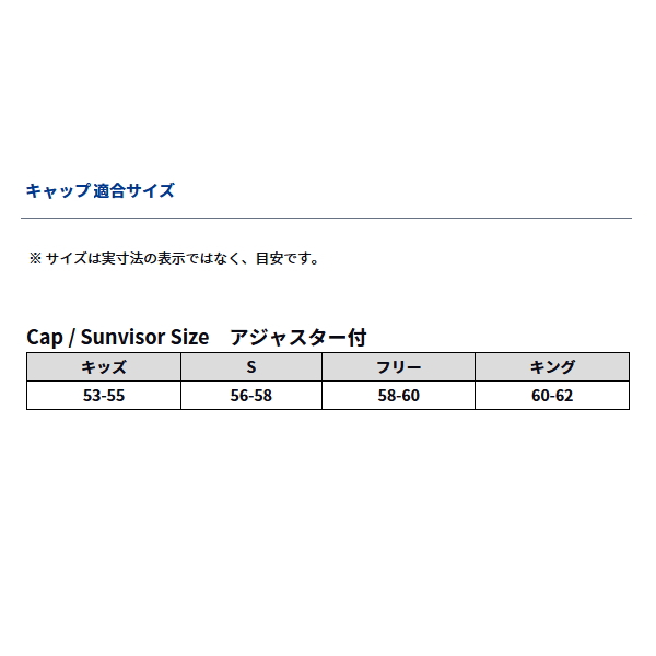 画像3: ≪'24年9月新商品！≫ ダイワ ウィンドストッパー(R) トーナメントハーフメッシュキャップ DC-1224TW ブラック フリーサイズ