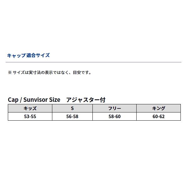 画像3: ≪'24年9月新商品！≫ ダイワ つば付きニットキャップ DC-9324W オリーブ フリーサイズ